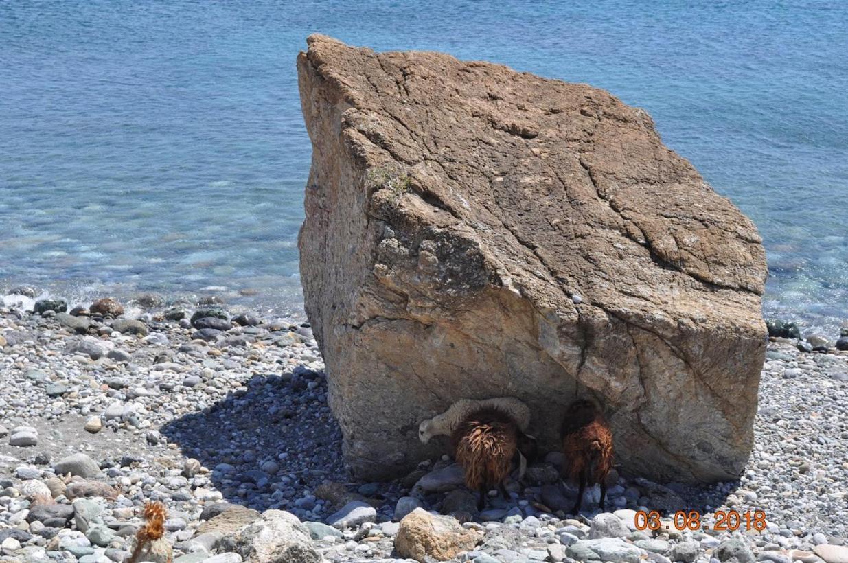 Island Villa Agia Galini Buitenkant foto