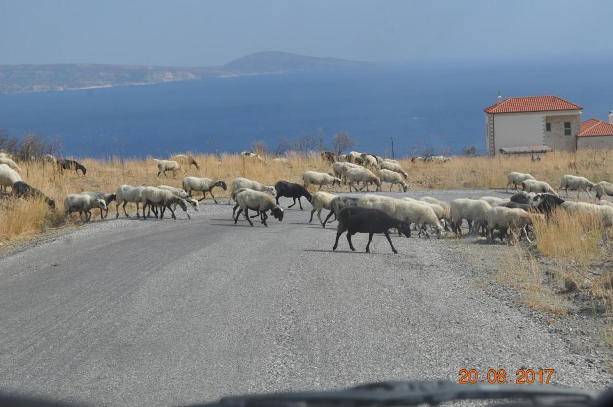 Island Villa Agia Galini Buitenkant foto