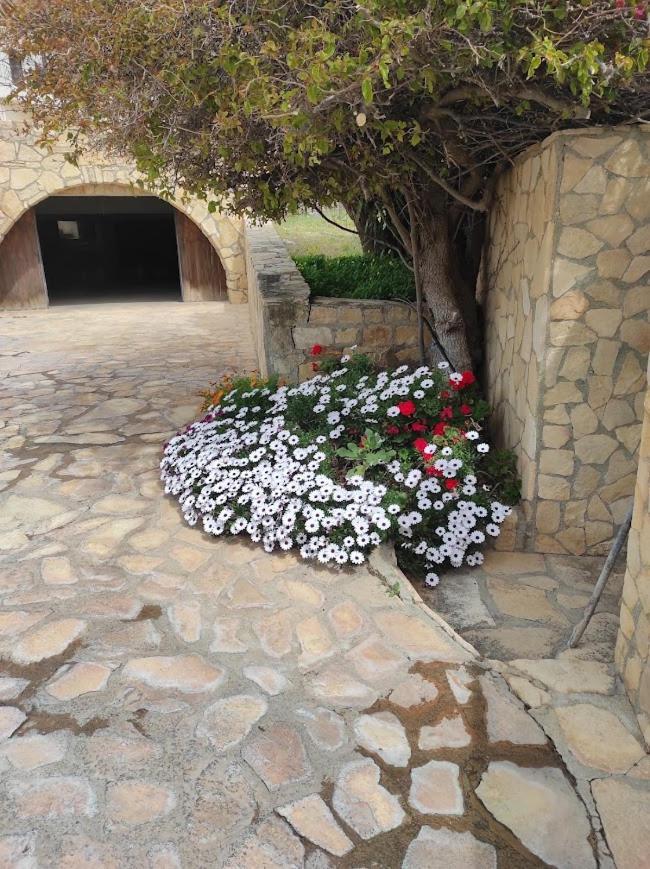 Island Villa Agia Galini Buitenkant foto
