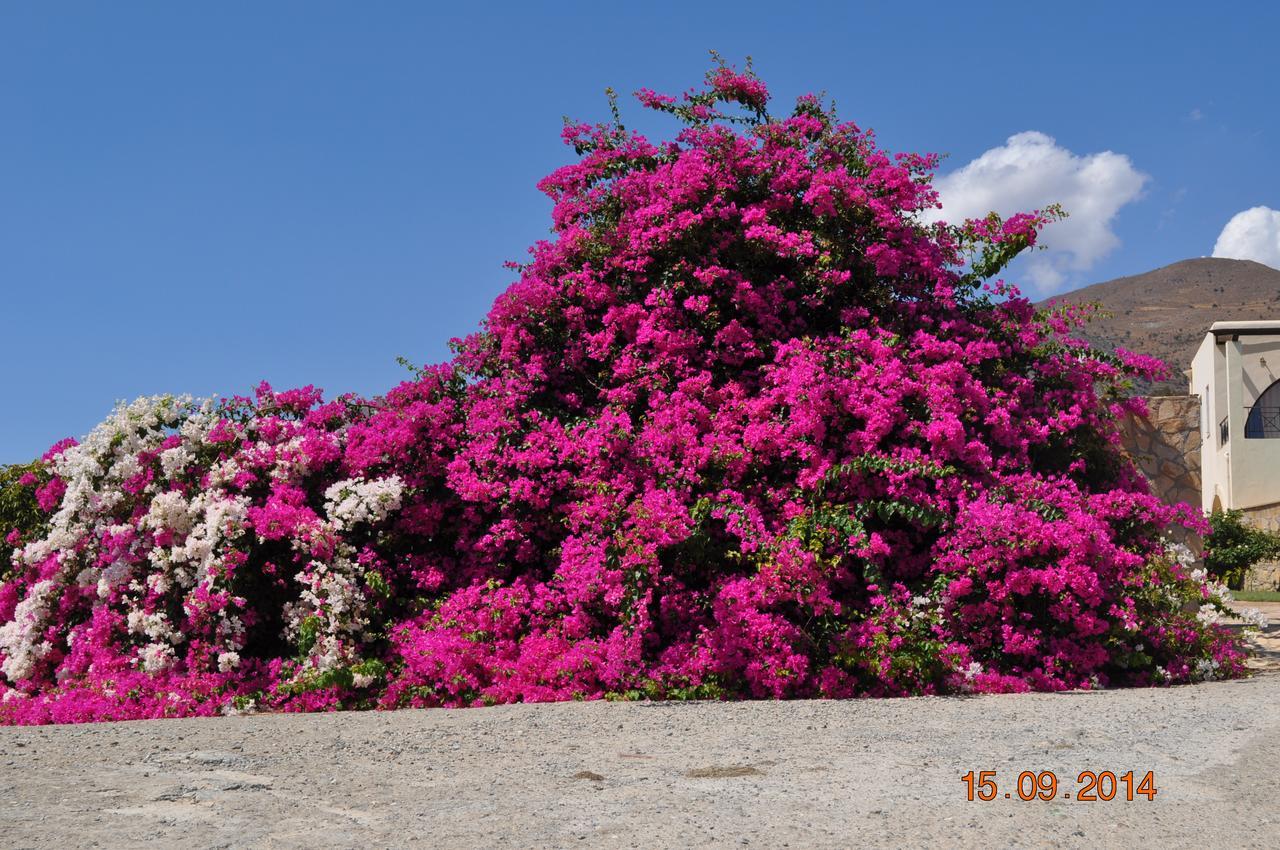 Island Villa Agia Galini Buitenkant foto